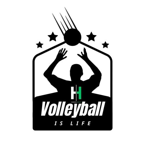 H&H MENS\/WOMENS 4\u2019s VOLLEYBALL IS LIFE TOURNEY! 