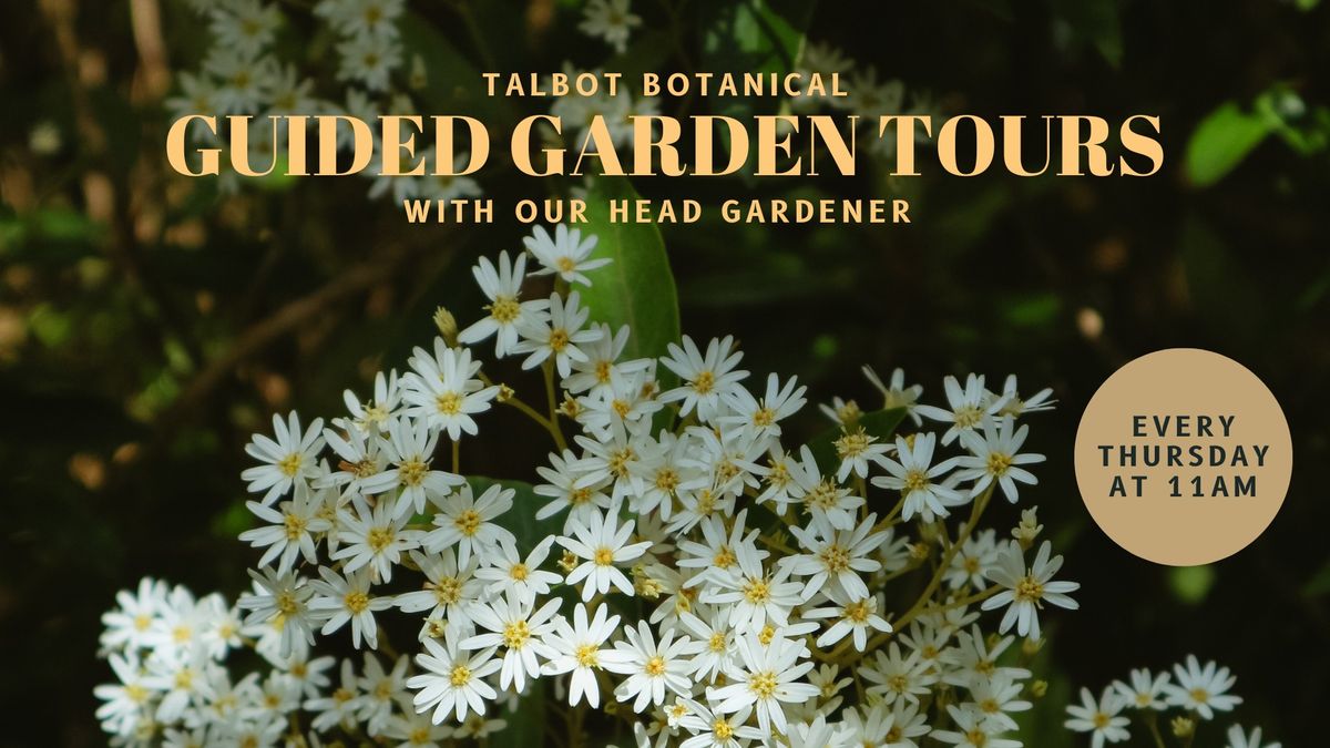 Guided Garden Tour