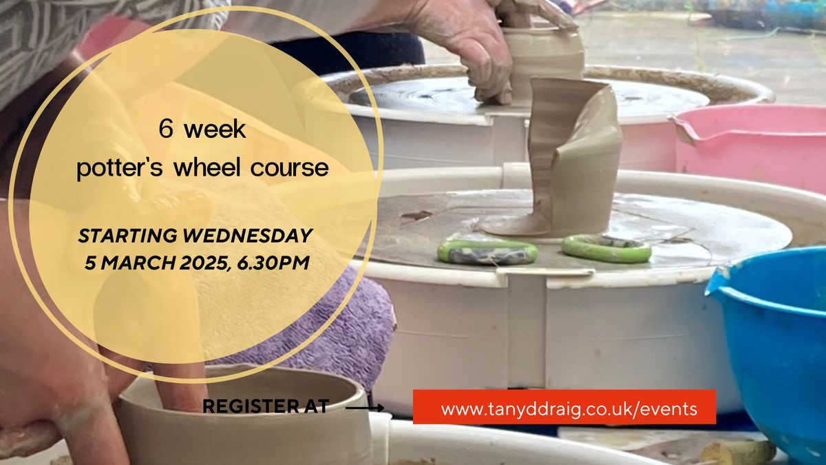 6 week potter's wheel course - Wednesday