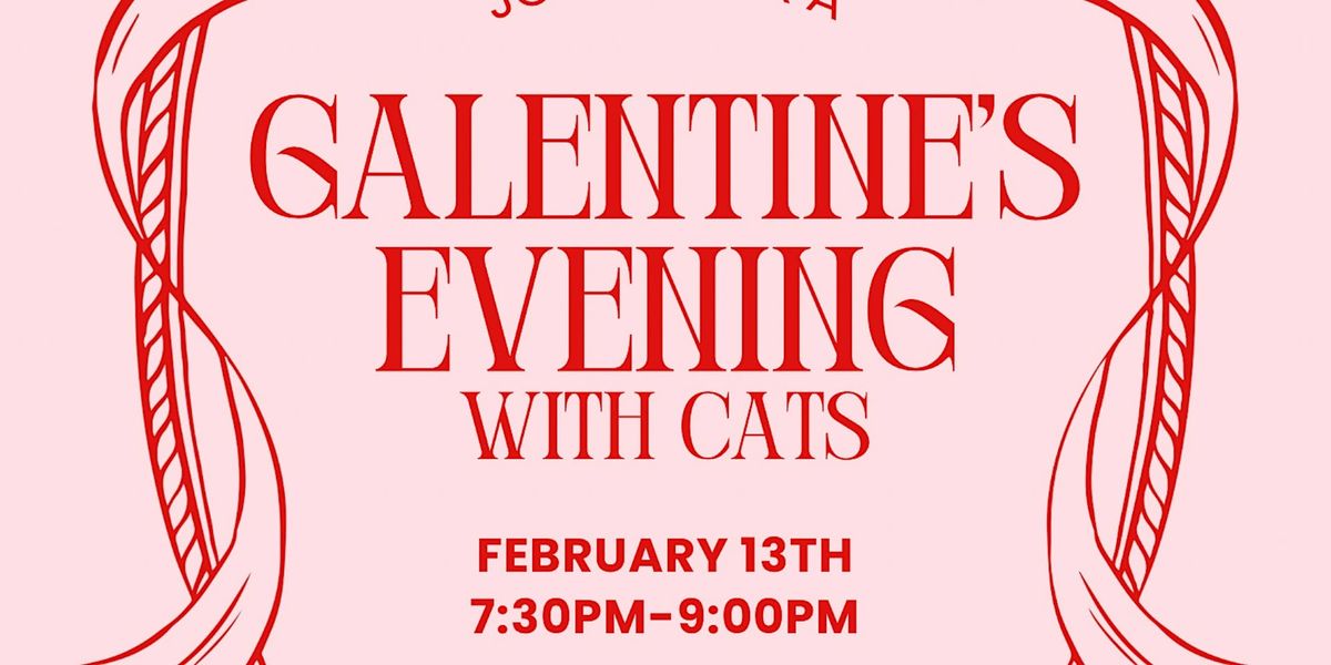 Galentines Evening with the Cats