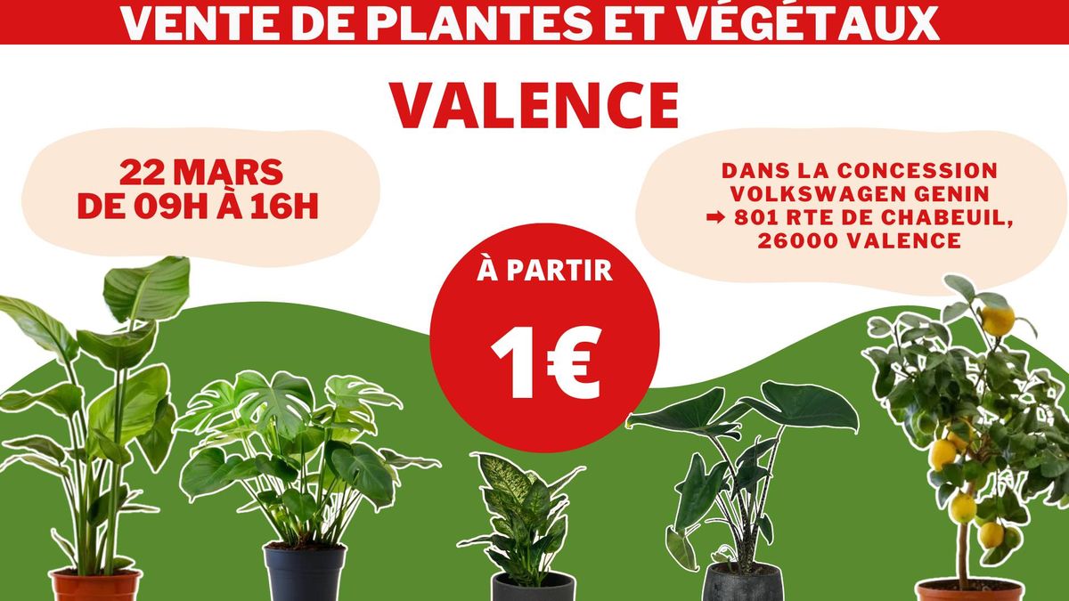 VALENCE - V\u00e9g\u00e9taux et Plantes \u00e0 partir de 1\u20ac by Plantes Addict