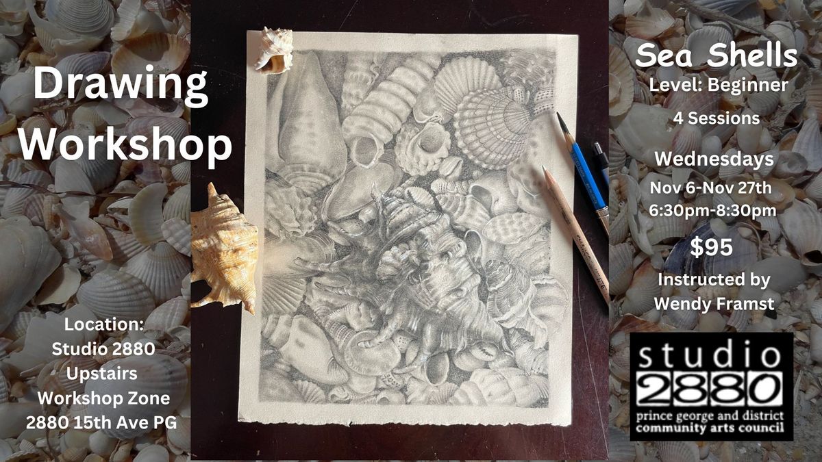 Drawing Workshop - Sea Shells