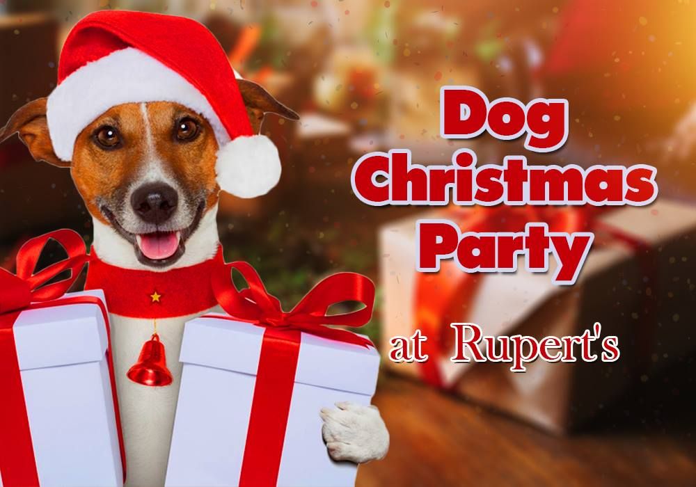 Dog Christmas Party at Rupert's