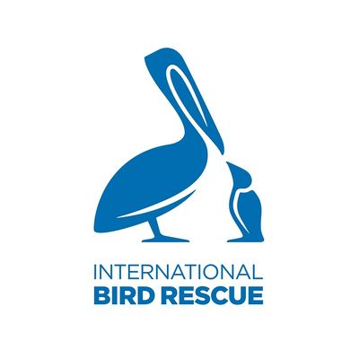 International Bird Rescue