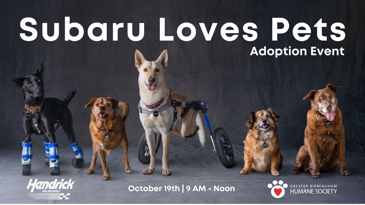 Subaru Loves Pets Adoption Event