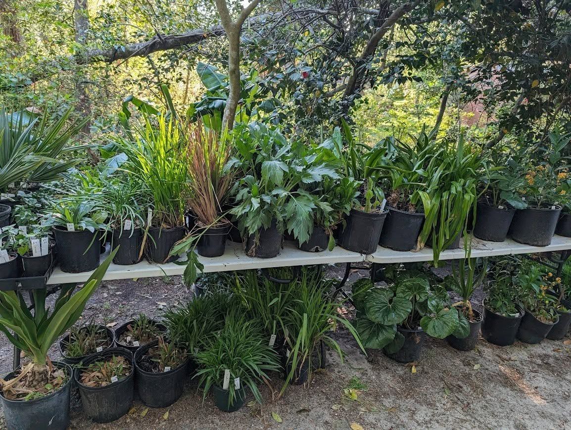 HGC Spring Plant Sale (Day 3)