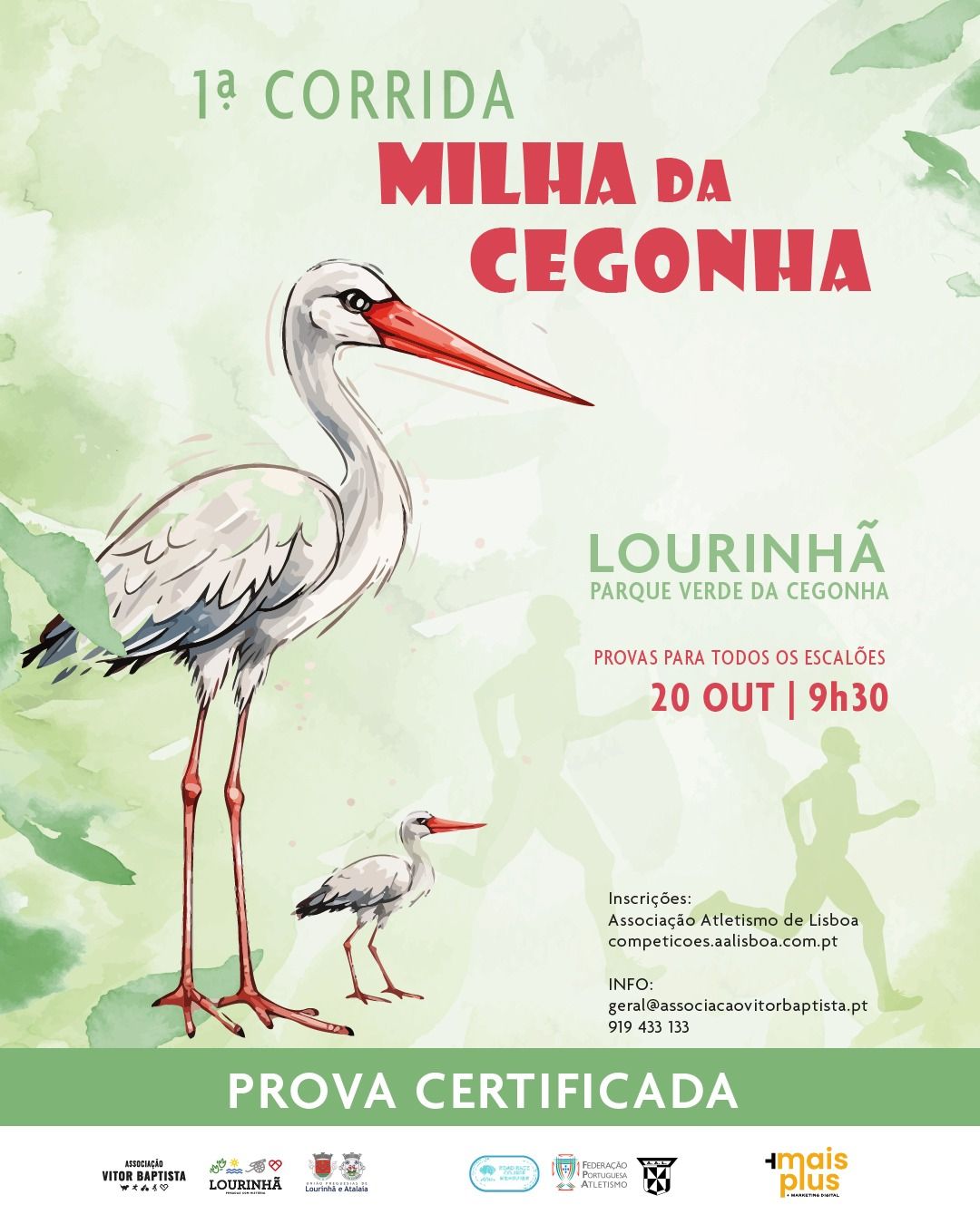 Milha da Cegonha