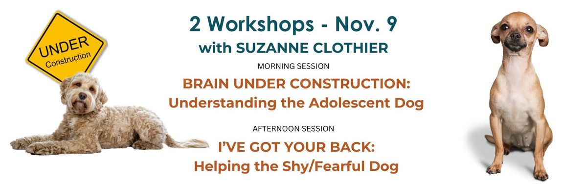 Brain Under Construction & I've Got Your Back - TWO WORKSHOPS\/ONE DAY!