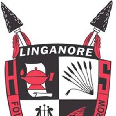 Linganore High School Safe & Sane