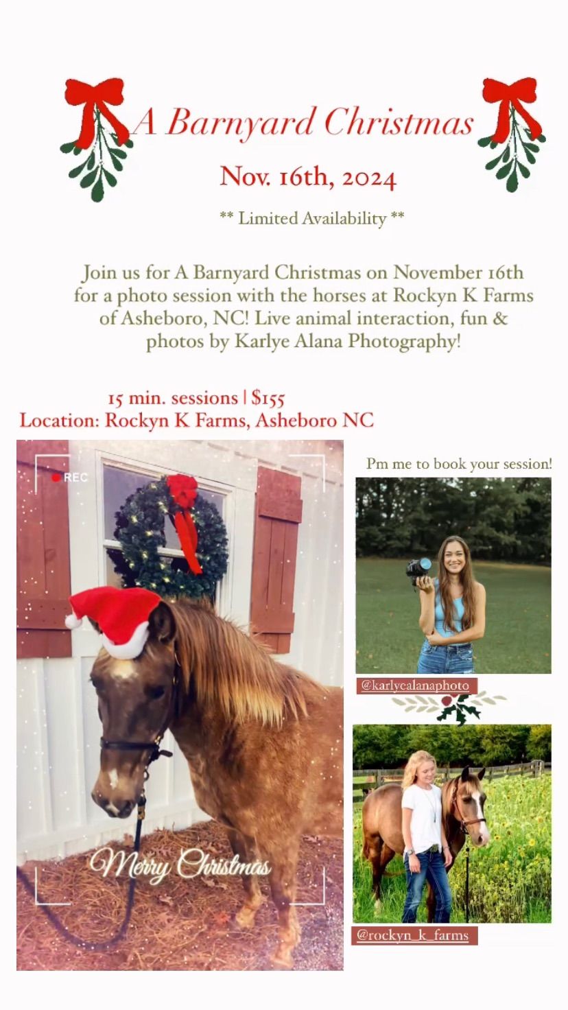 Christmas with Rockyn K Farm Horses \ud83d\udcf8 