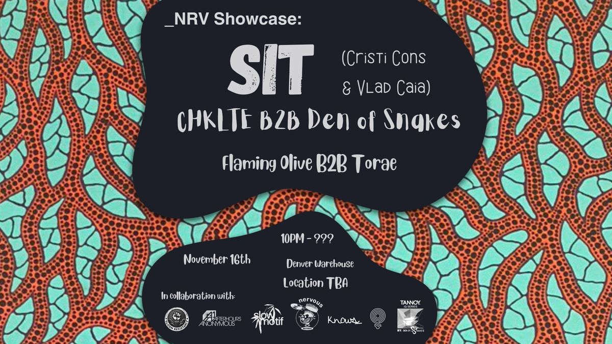 SIT (Cristi Cons & Vlad Caia), CHKLTE B2B Den of Snakes