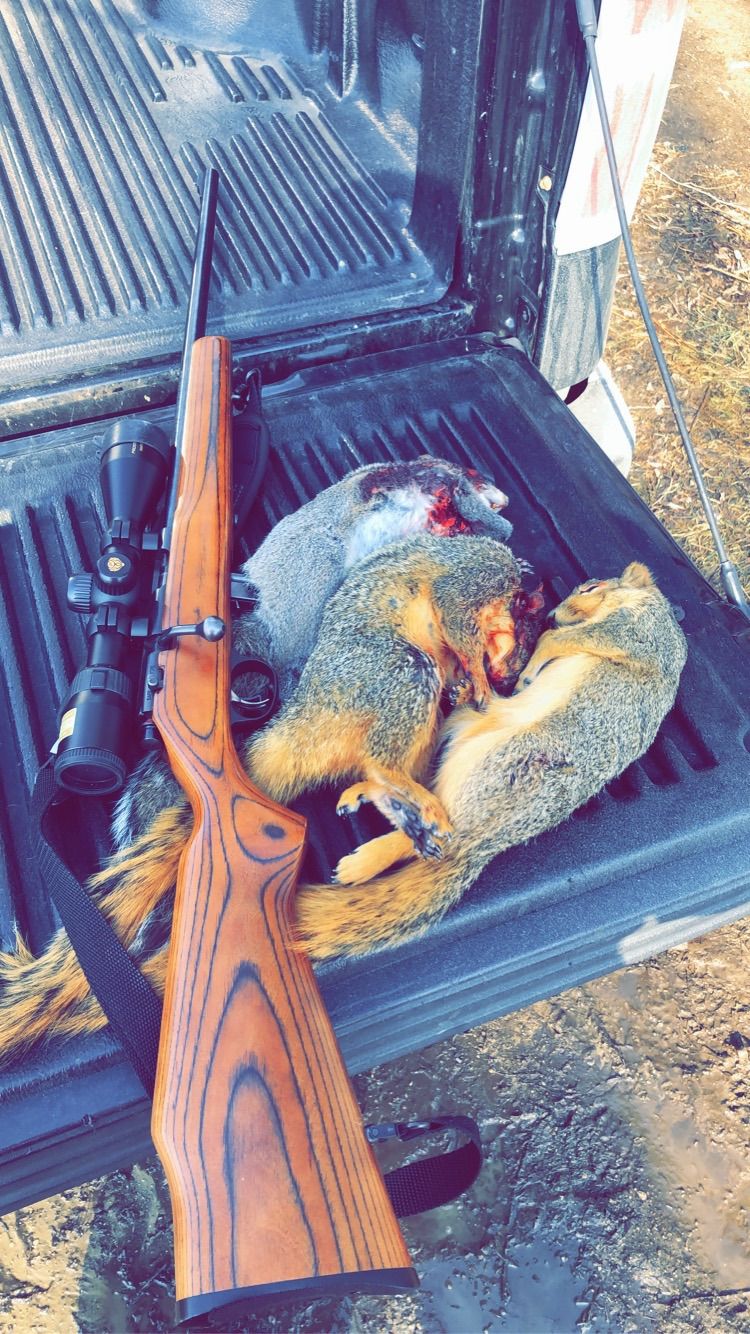 Squirrel Hunting Tournament \ud83d\udc3f\ufe0f\ud83d\udc3f\ufe0f