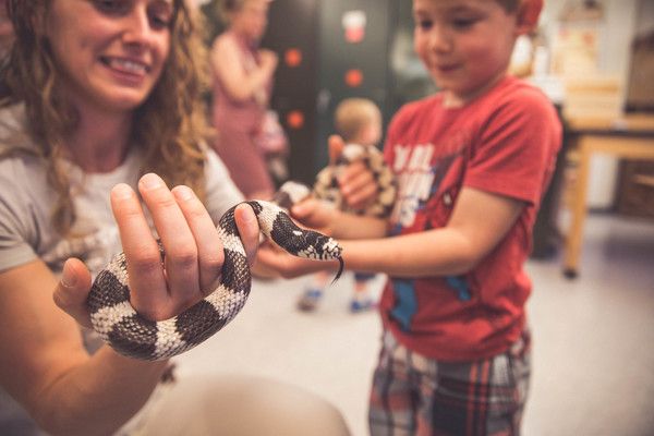 Snake Saturday at the UNR Museum of Natural History!  S\u00e1bado de Serpientes!