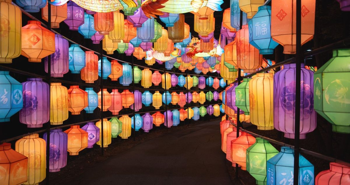 2025 North Carolina Chinese Lantern Festival - Evening Session at Koka Booth Amphitheatre at Regency Park