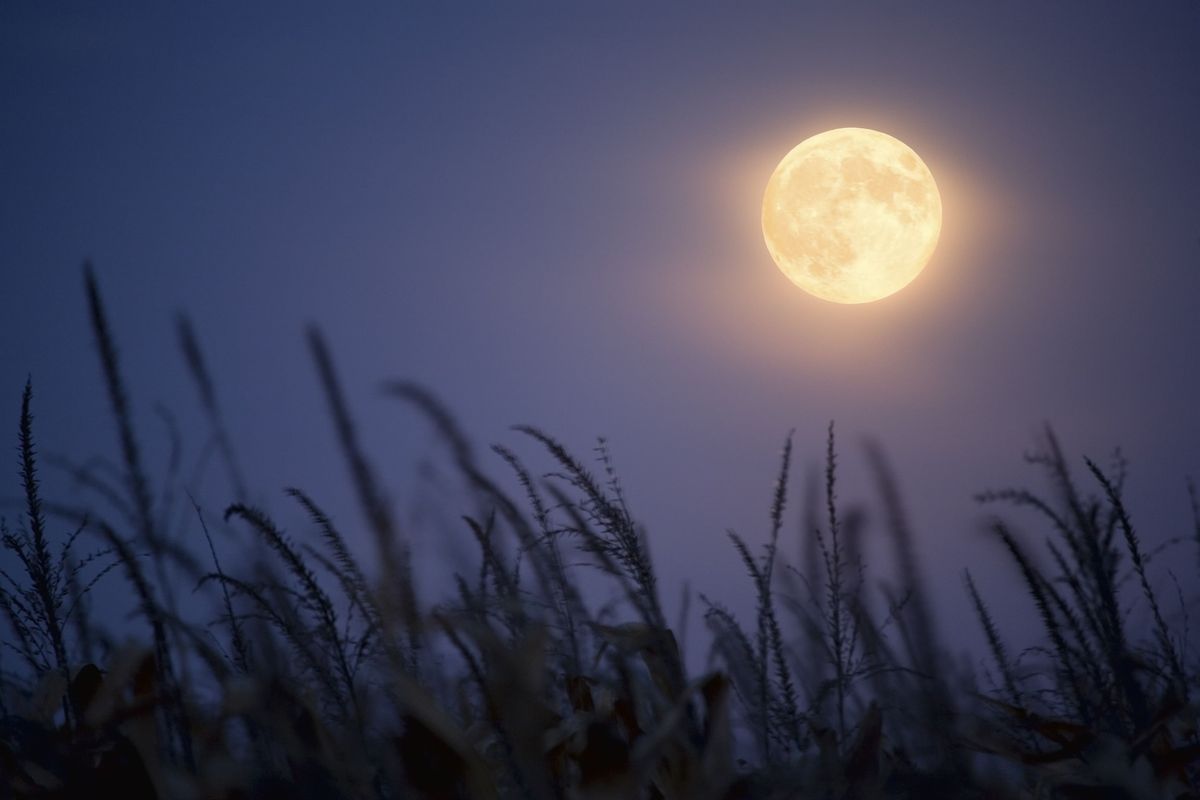 Sept 14th Harvest Moon Bike Ride to Sidney Dairy Barn