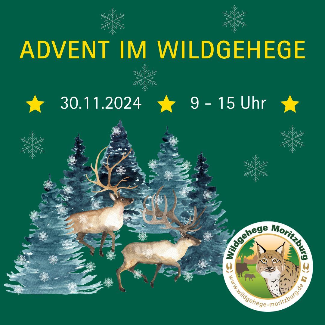 Advent im Wildgehege