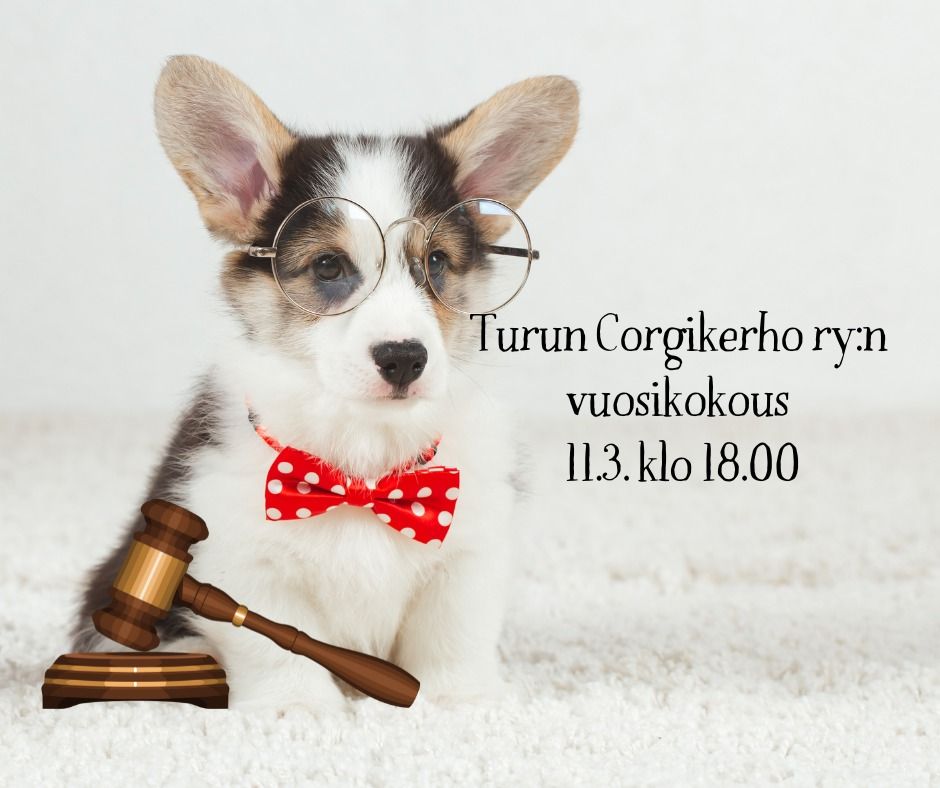 Turun Corgikerho ry:n vuosikokous 11.3.2025