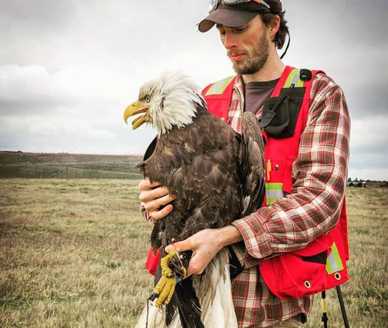 Myles Lamont on Bald Eagles - Knowing Nature Speaker Series