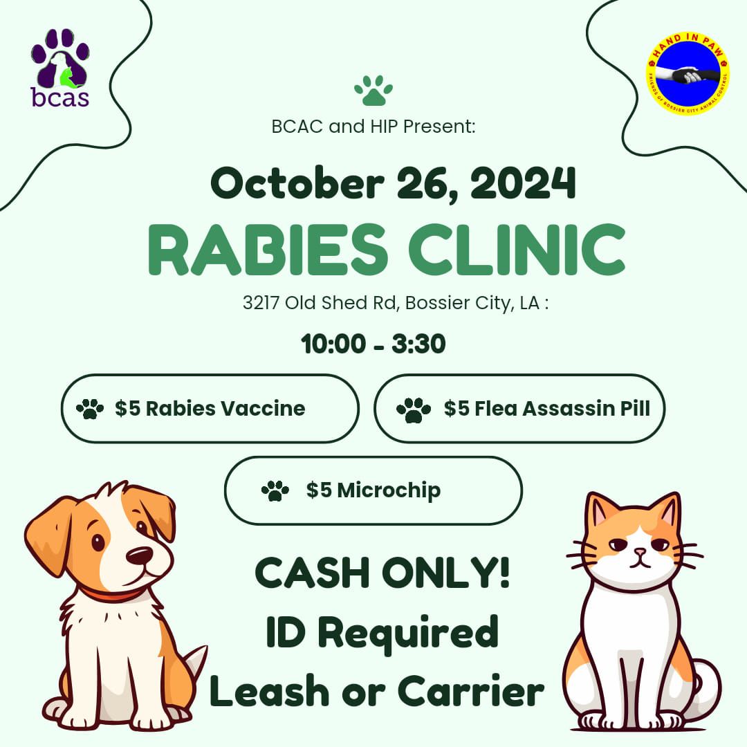 Fall Rabies Clinic