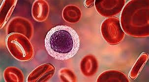 Understanding Blood Cancer: Science, Care, and the Patient Experience