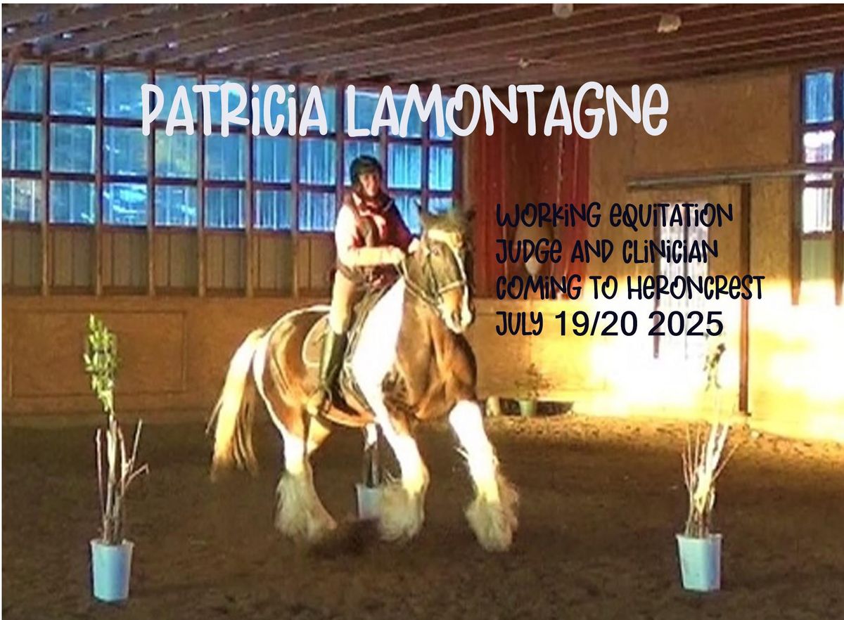 Working Equitation Clinic and show with Patricia Lamontagne as clinician and judge