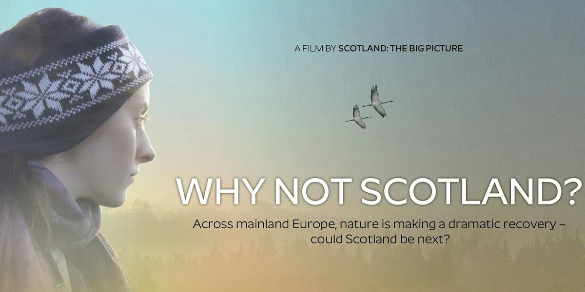 Cinema Nairn - Why Not Scotland?