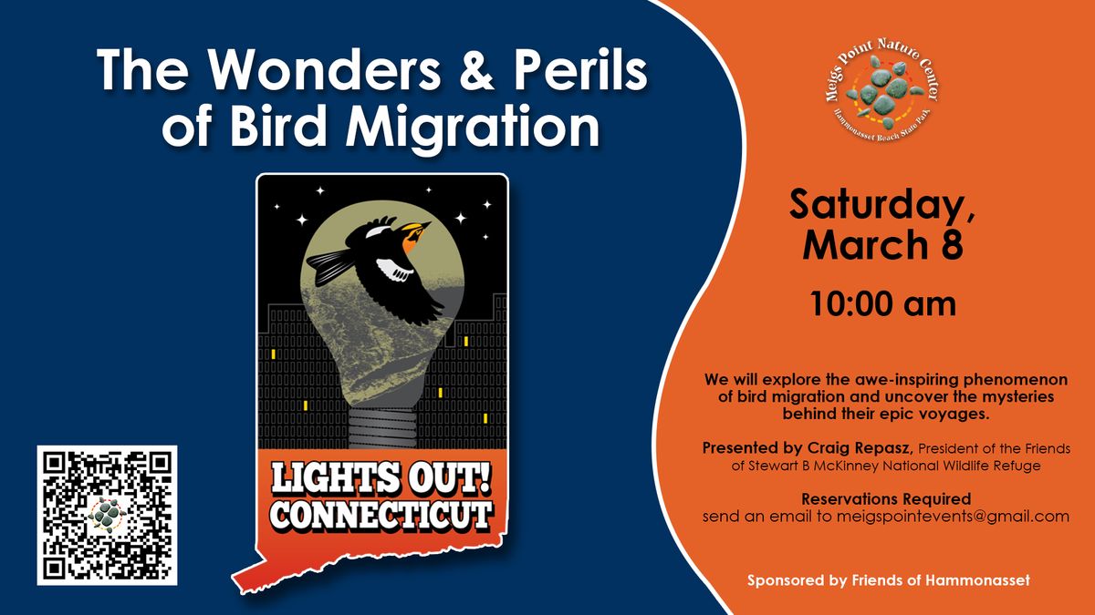 The Wonders & Perils  of Bird Migration