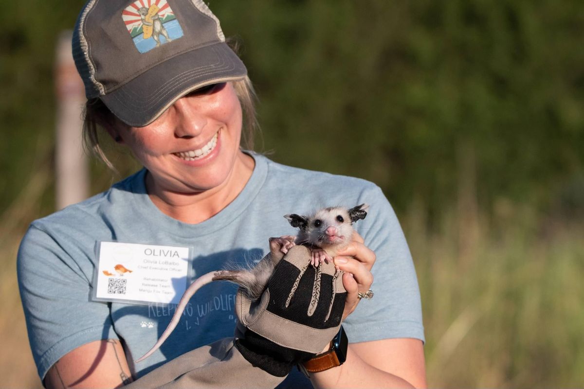 Wildlife Rescue Techniques