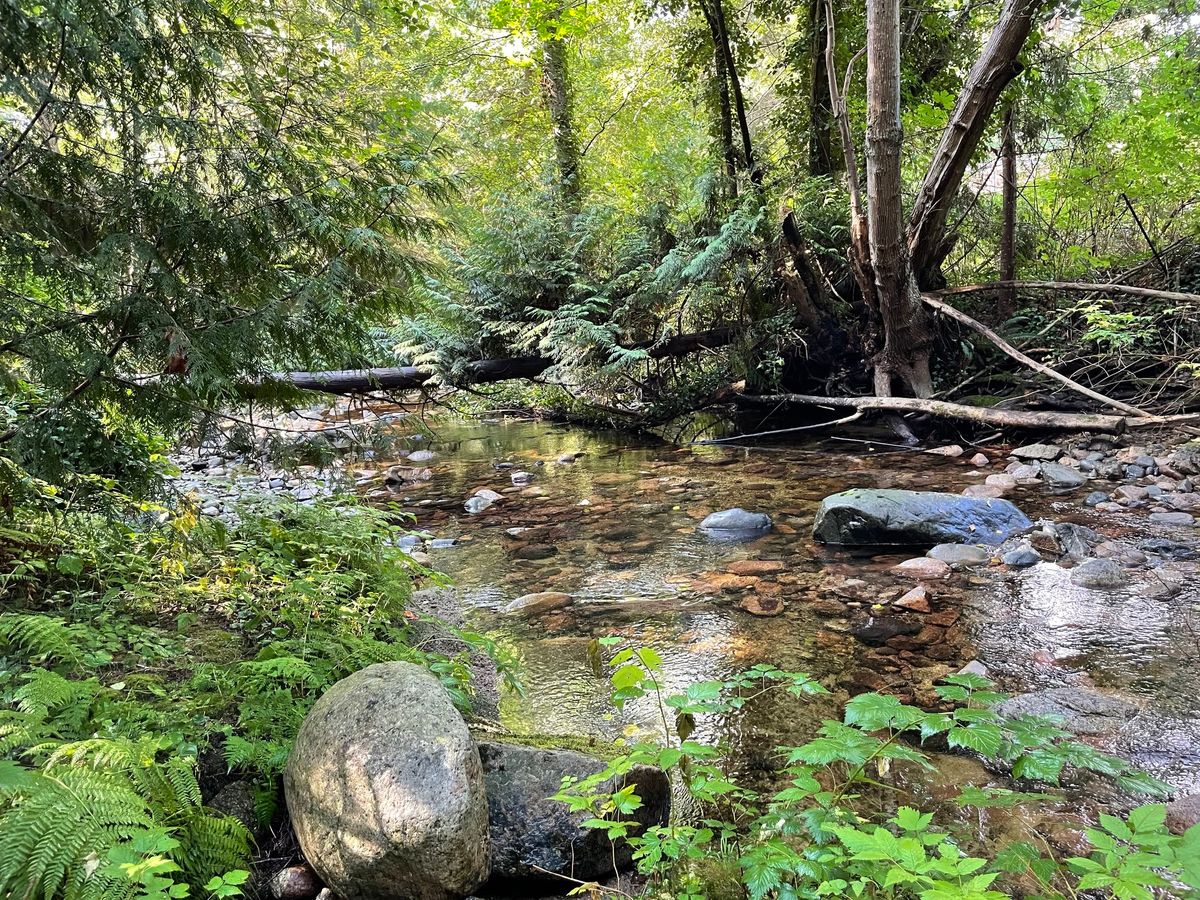 SC Streamkeepers Celebrate World Rivers Day 2024