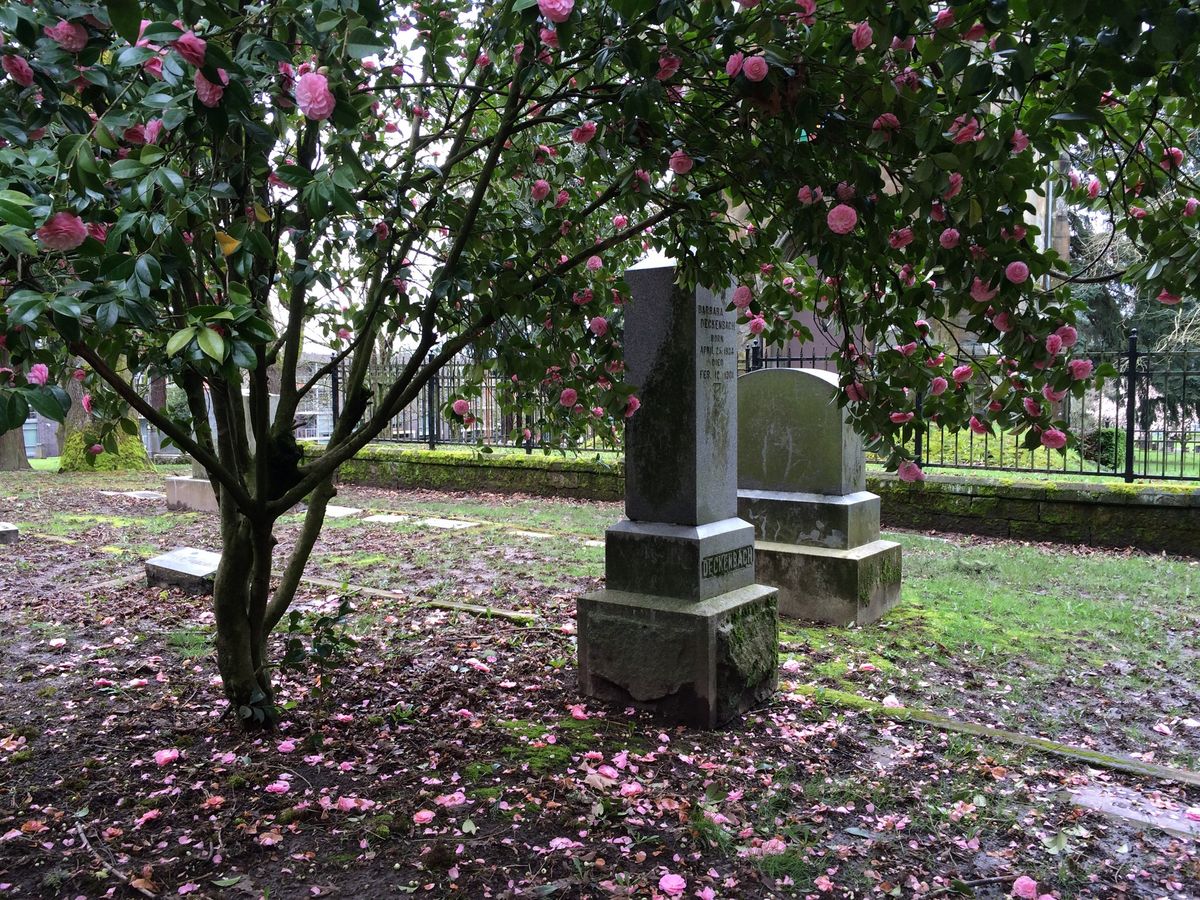 Guided Tour: Women from Lone Fir Cemetery\u2019s  First 100 Years