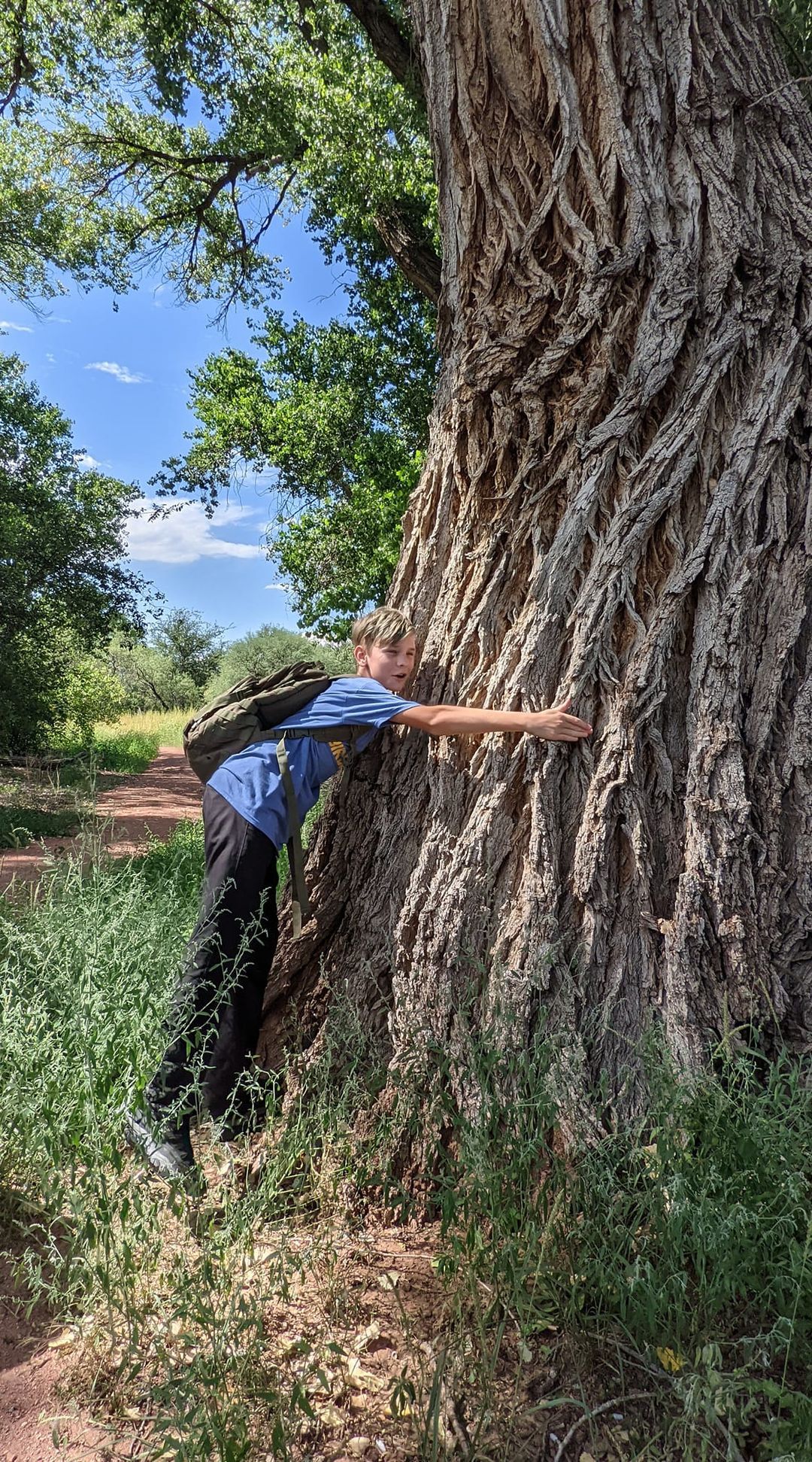 Tree Hugger Club Desert Ironwood