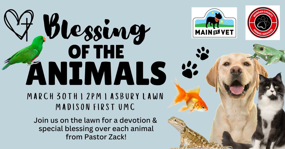 Blessing of the Animals