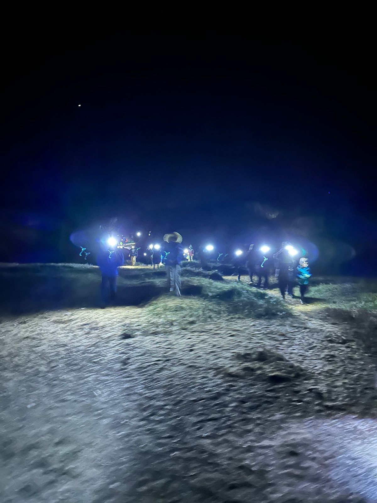 Night Time Fossil Hunt