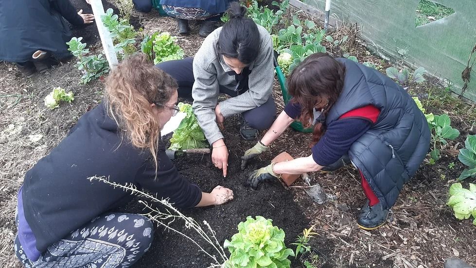 Grow-Your-Own Food