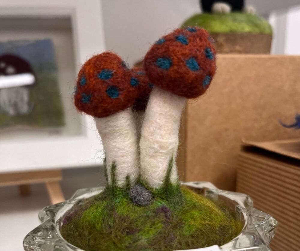 Needle Felted 3D Toadstools workshop with Robyn Smith