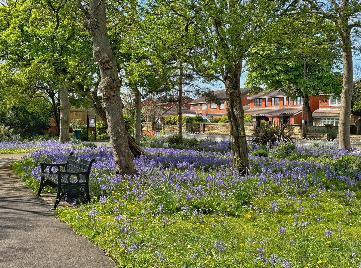 Picnic in the Park!