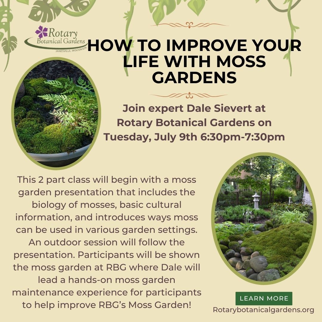 How to Improve Your Life with Moss Gardens