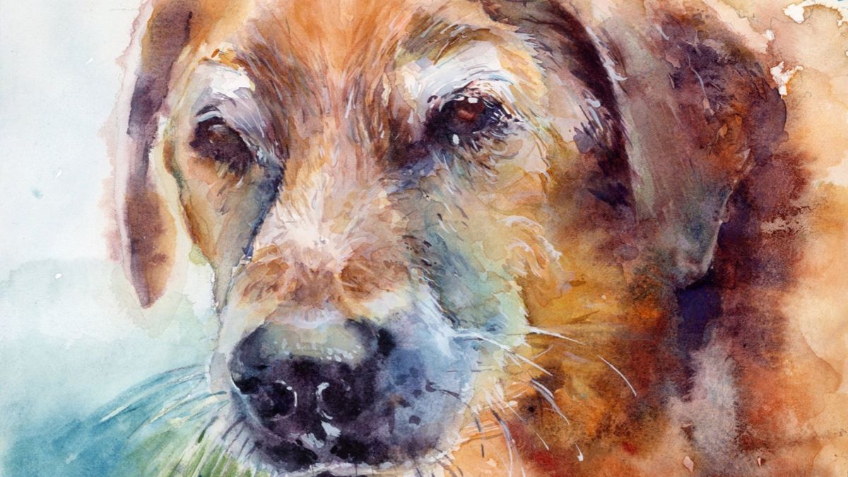 Pet Portraiture in Watercolour