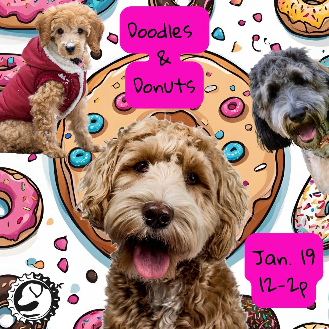 Doodles & Donuts