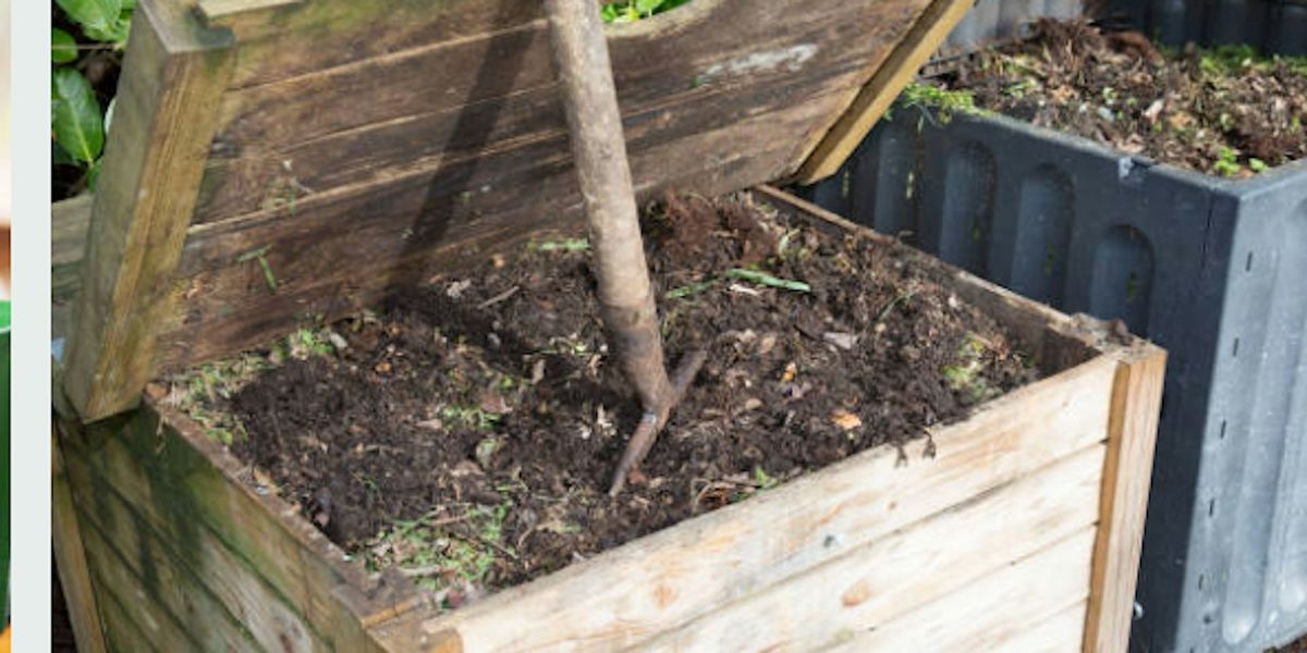 Seniors Week: Successful Home Composting