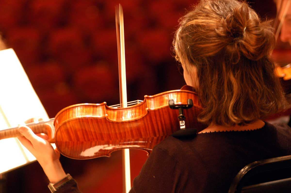 Flint Symphony Orchestra: Enrique Diemecke - Heroic Reflections