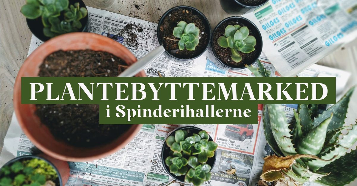 Plantebyttmarked i Spinderihallerne