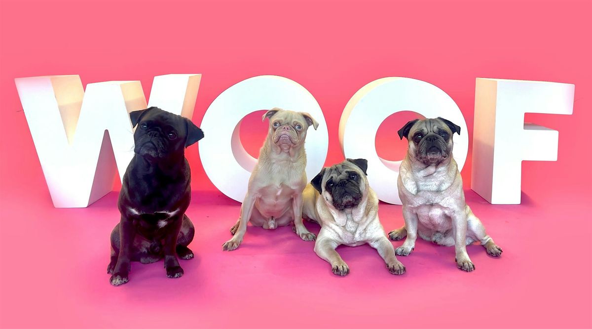 Cuppa Pug : Doggy Social (Resident Only)