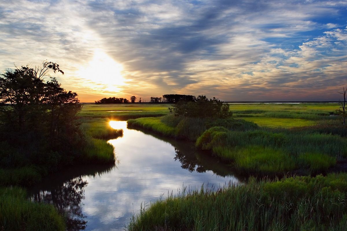 Bird ID station -Bombay Hook