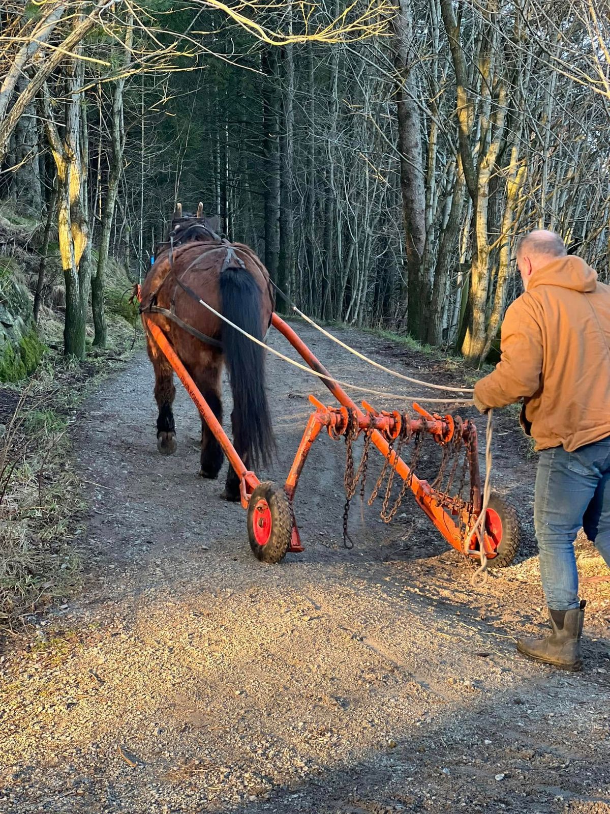 Skogdag i Vagleskogen