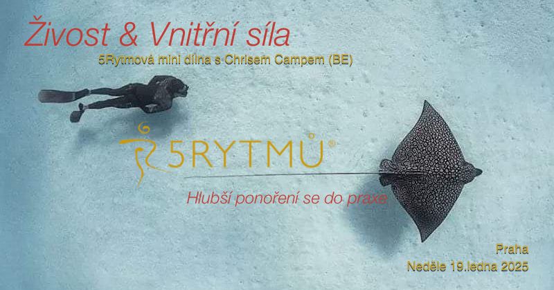 \u017dIVOST & VNIT\u0158N\u00cd S\u00cdLA - 5Rhythms\/5Rytmov\u00e1 d\u00edlna s Chrisem Campem (BE) v Praze