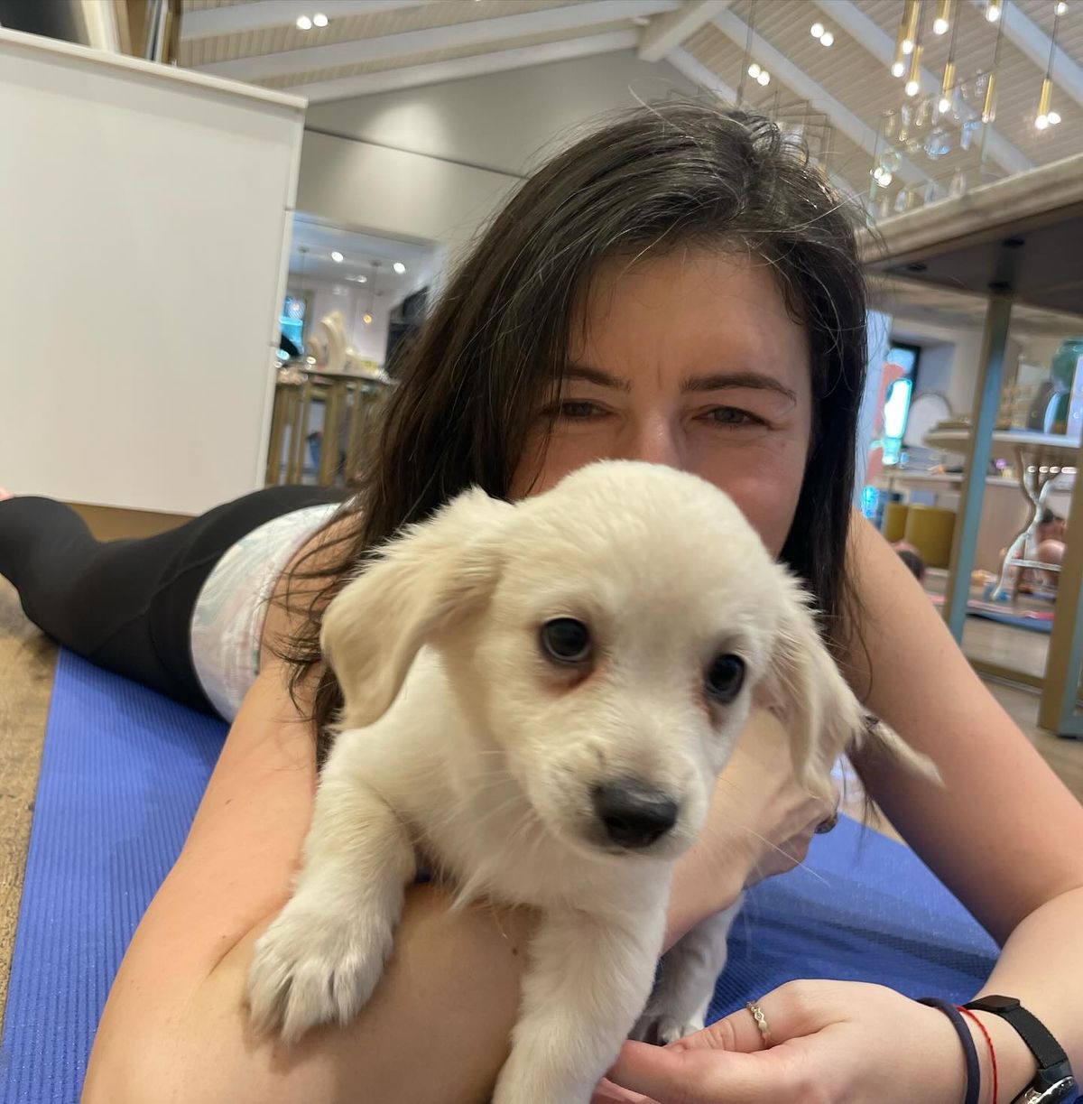 Puppy Yoga Benefitting Central Texas Little Dog Rescue