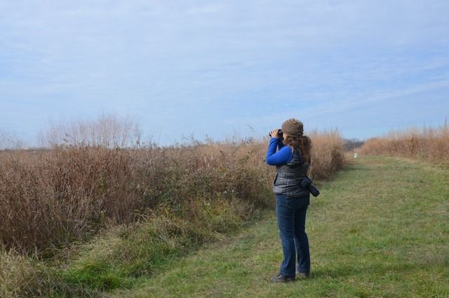 Birding for Science (12 and up)