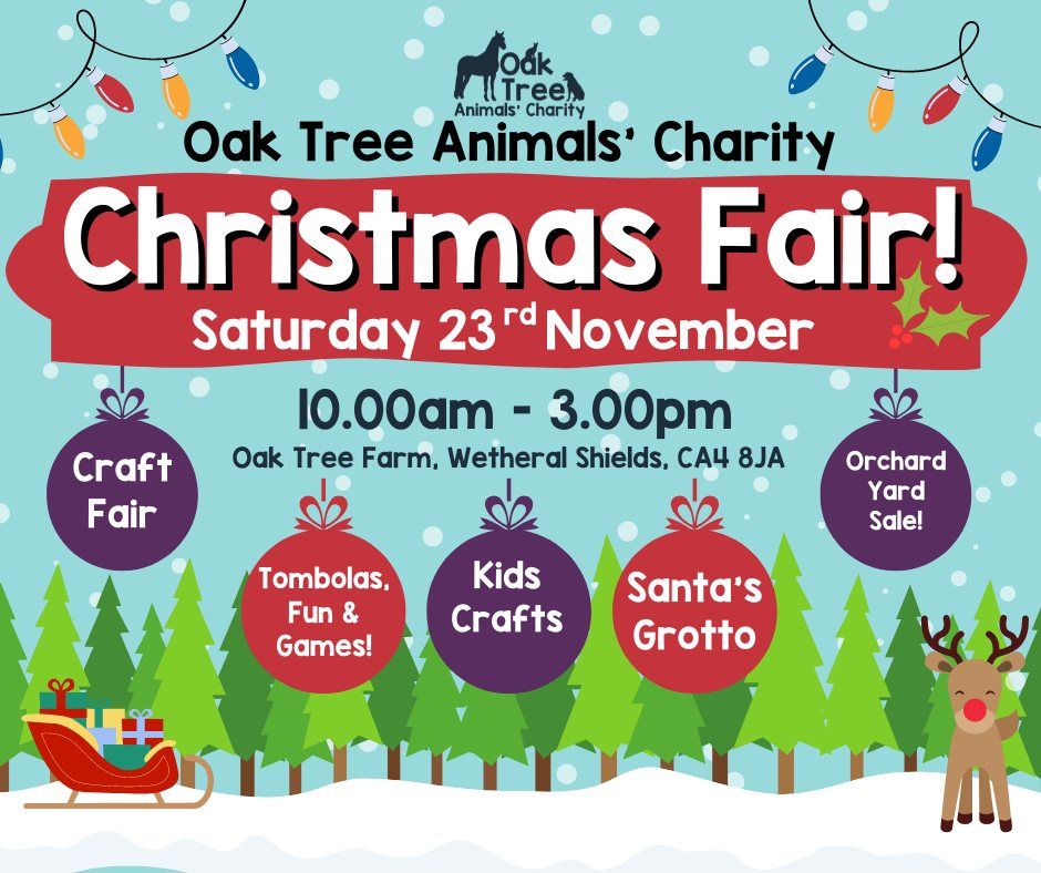 Oak Tree Animals' Charity Christmas Fair