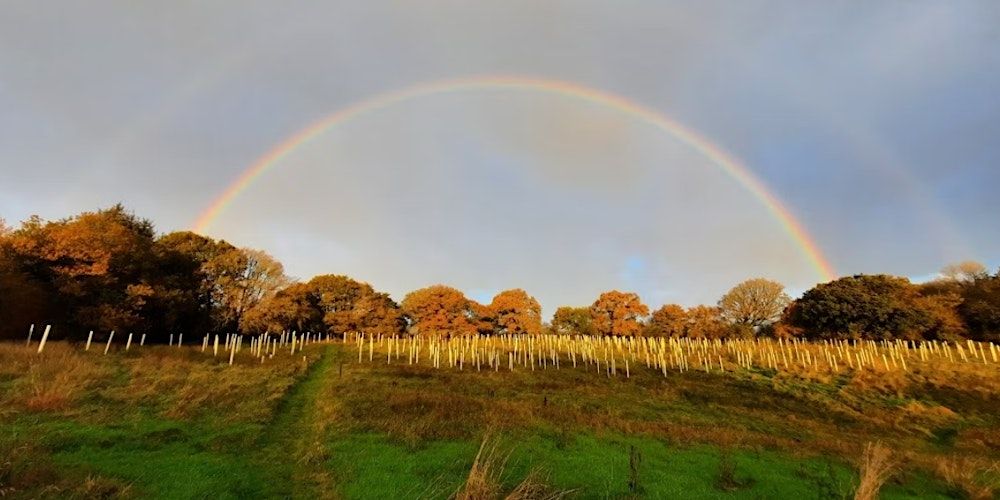 Site Visit: Lucky Moor Rewilding